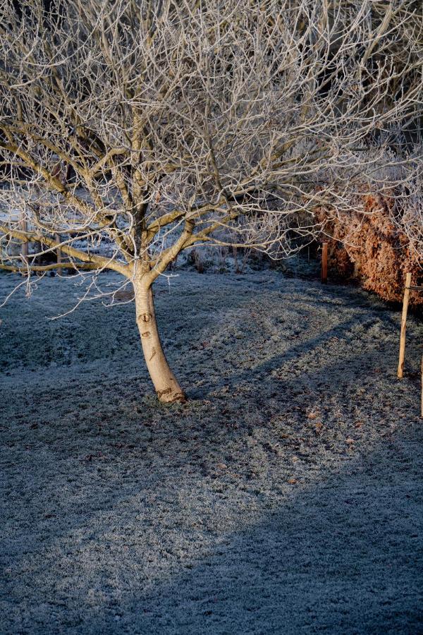 Nuit Blanche Bed and Breakfast Oud-Heverlee Buitenkant foto