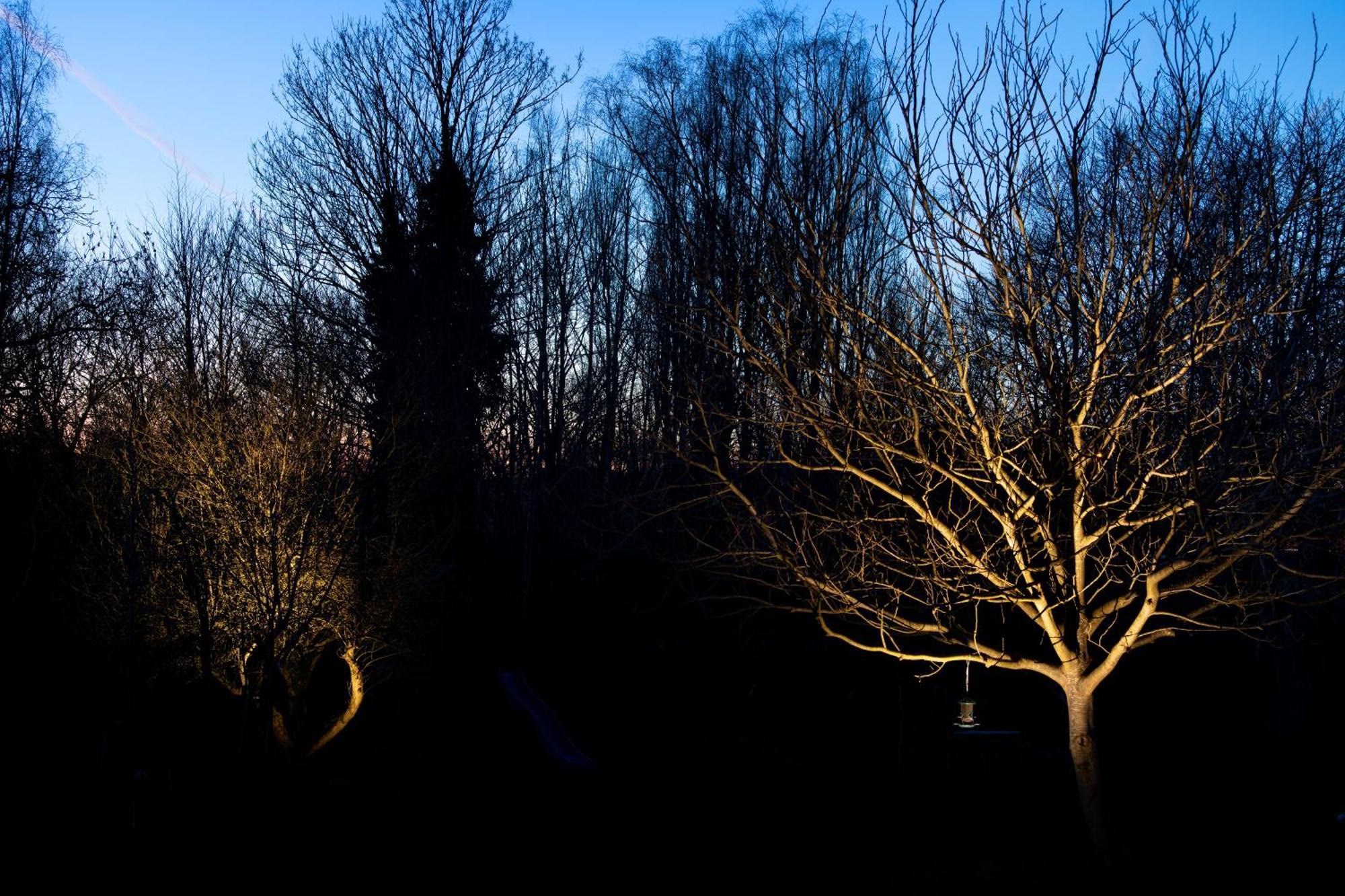 Nuit Blanche Bed and Breakfast Oud-Heverlee Buitenkant foto